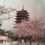 Corea de Sud (3),